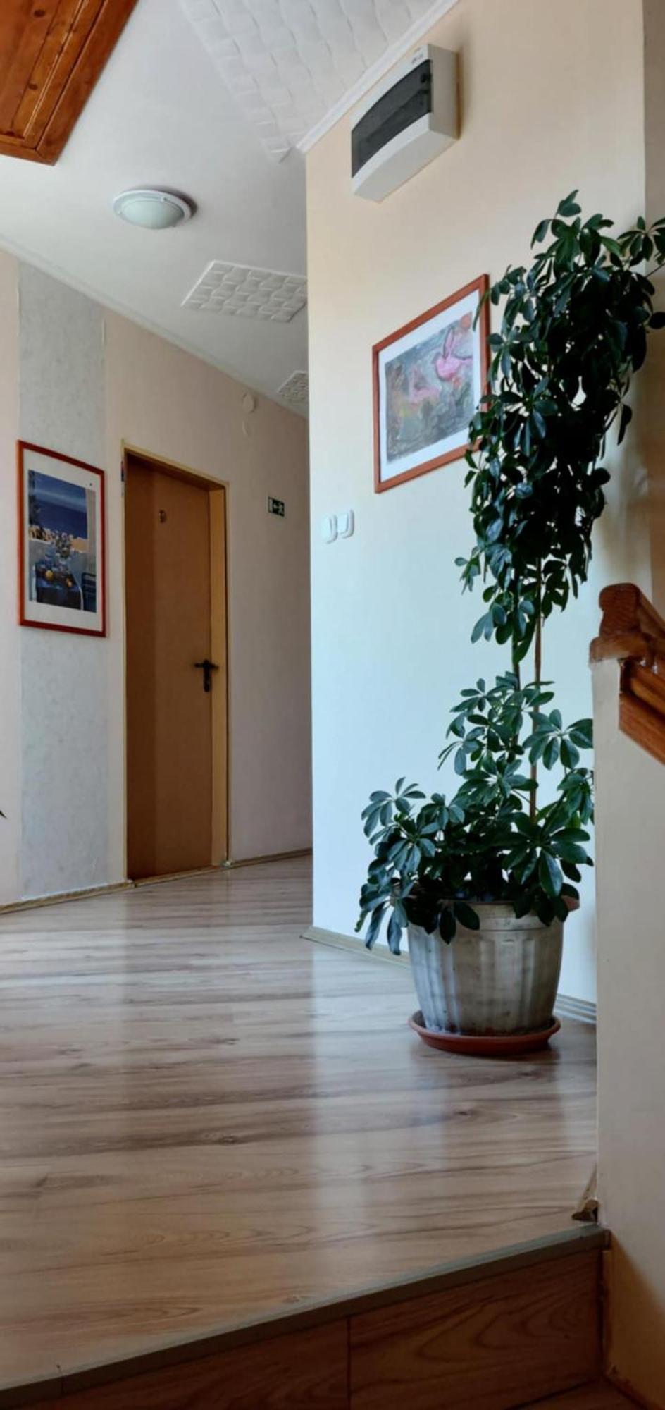 Diana Fogado Bed & Breakfast Keszthely Bagian luar foto